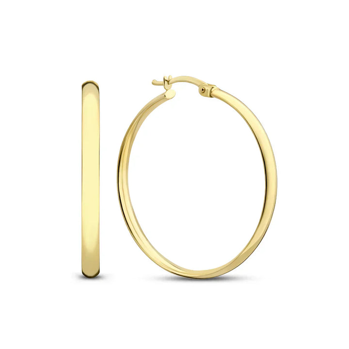 Elegant Gold Noa Serane Earrings