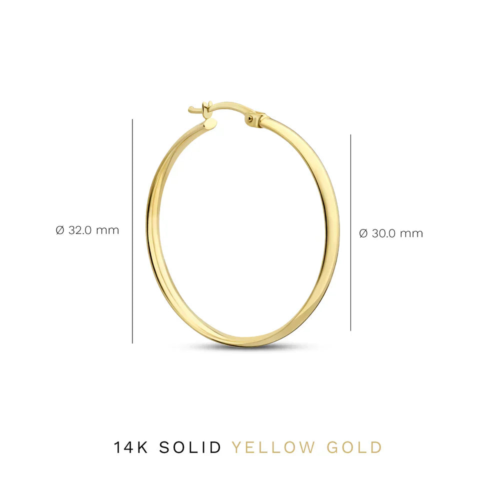 Elegant Gold Noa Serane Earrings